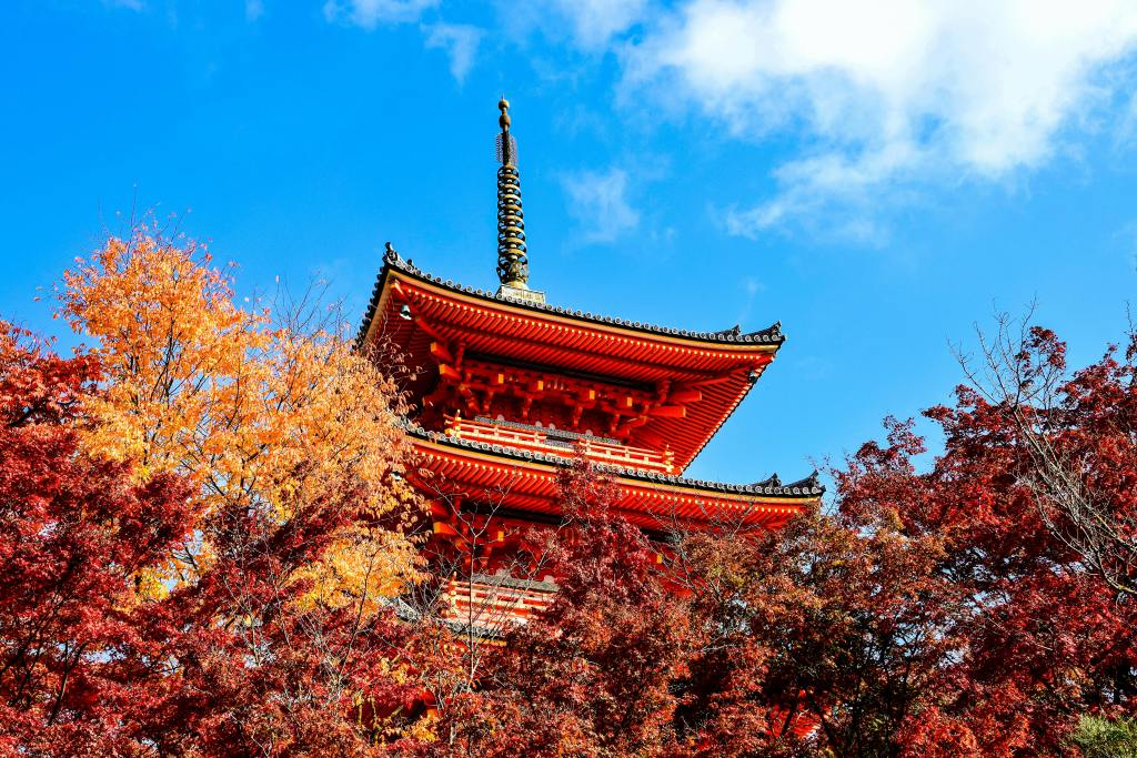 Golden Leaves of Japan – Starting from €4750